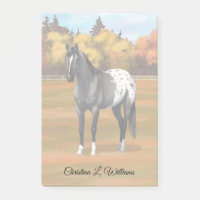 Gris Grulla Appaloosa Quartier Horse Stallion