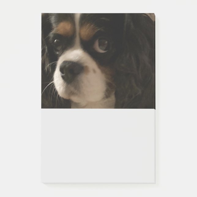 Post-it® Groomer pour animaux de compagnie doux Vétérinaire (Devant)