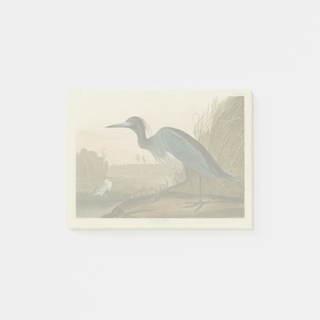 Post-it® Grue Bleue Heron Audubon Peinture (Devant)