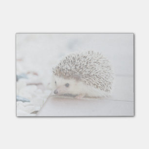 Post-it® Hérisson minuscule