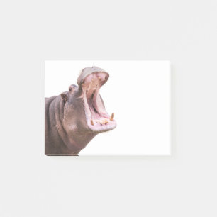 Post-it® Hippo Big Mouth