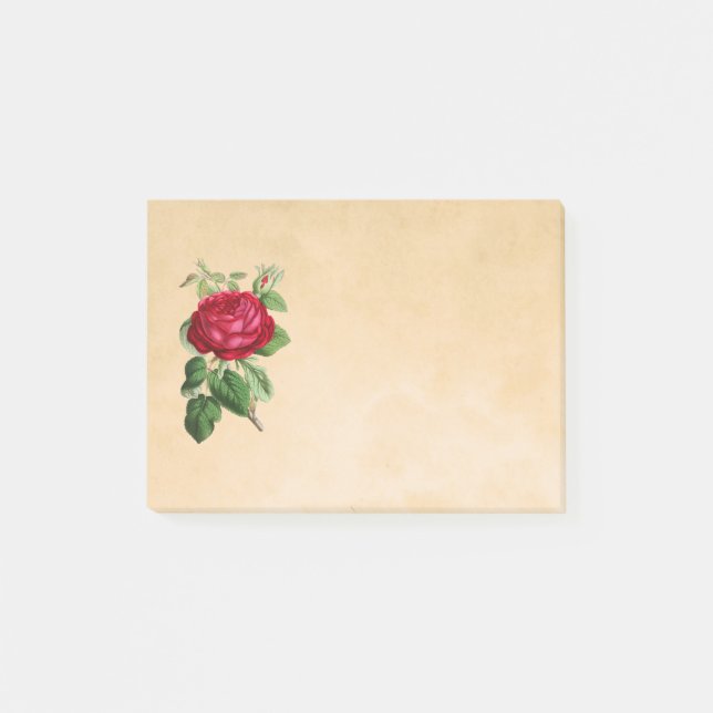 Post-it® Illustration de Rose rouge sur un Arrière - plan t (Devant)