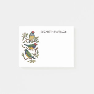 Post-it® Illustration des oiseaux de finition colorés Post-