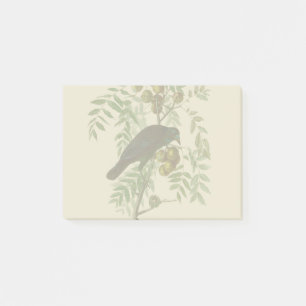Post-it® Impression d'oiseau Grackle violet d'Audubon Botan