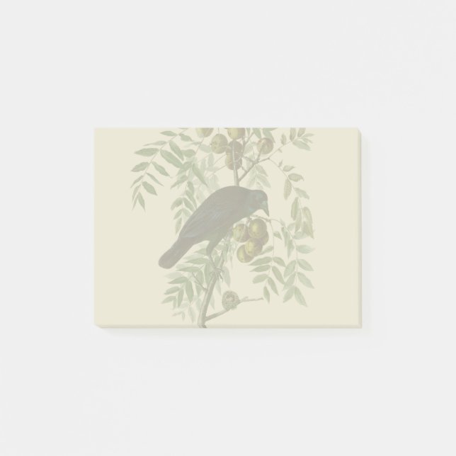 Post-it® Impression d'oiseau Grackle violet d'Audubon Botan (Devant)