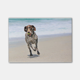 Post-it® Indicateur aux cheveux courts allemand - Luc -