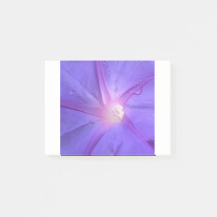 Post-it® ipomée