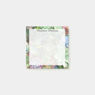 Post-it® Jardin coloré Succulent
