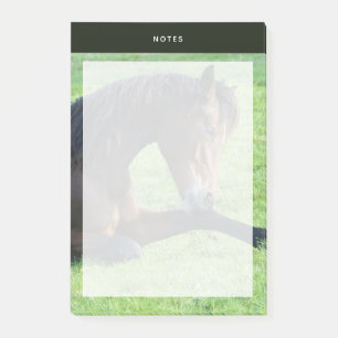 Post-it® Joli Cheval Brown allongé dans l'herbe
