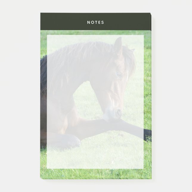 Post-it® Joli Cheval Brown allongé dans l'herbe (Devant)