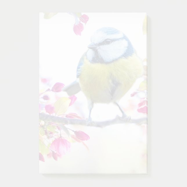 Post-it® Joli oiseau bleu et jaune sur une branche Photogra (Devant)