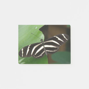 Post-it® Joli Zebra Longwing Papillon Post il note
