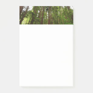 Post-it® Jusqu'aux séquoias I à Muir Woods National Monumen