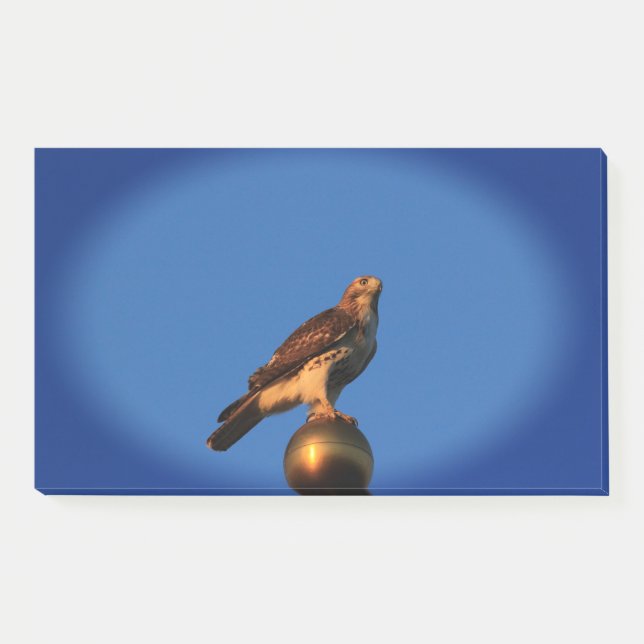 Post-it® Kansas Hawk sur un mât de drapeau (Devant)