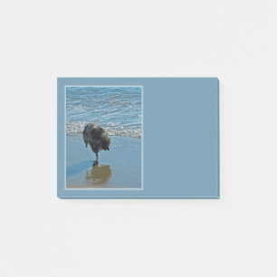 Post-it® Keeshond Ballet Photographie - Joli chien d'origin