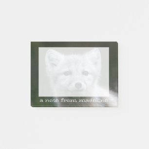 Post-it® Kit de Fox arctique des images de Getty
