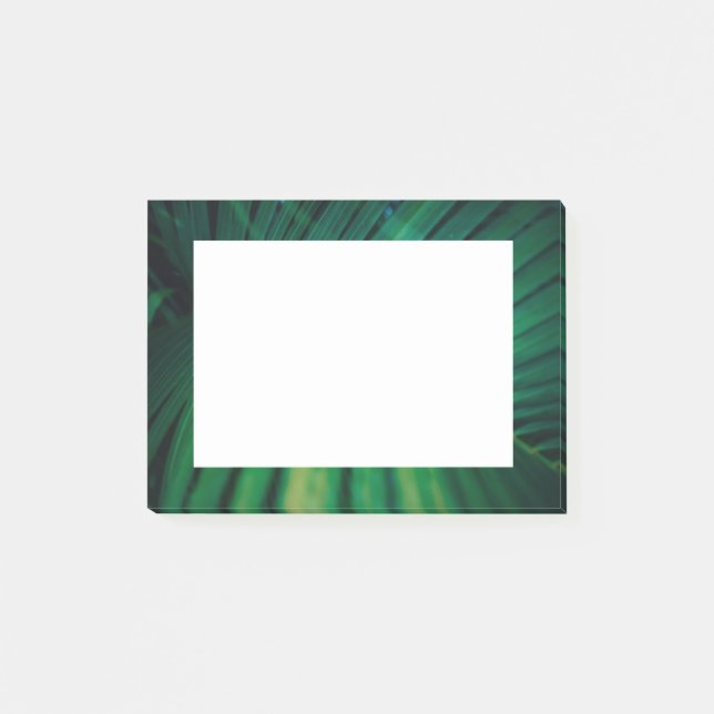 Post-it® La Feuille verte Forêt tropicale Nature Photo (Devant)