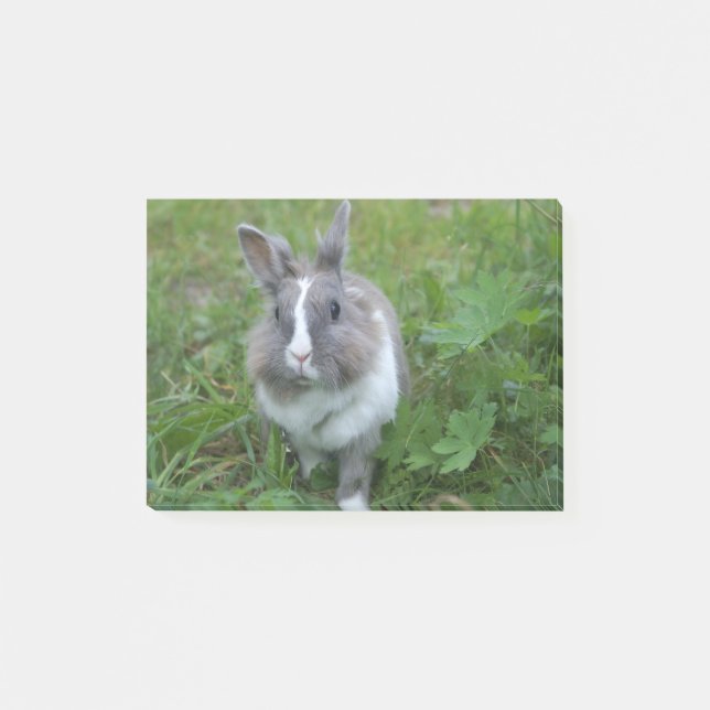 Post-it® Lapin lapin (Devant)