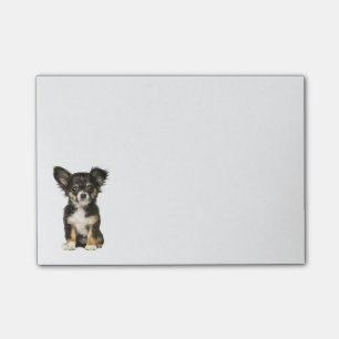 Post-it® Le Chihuahua Puppy Dog de longue haleine publie de