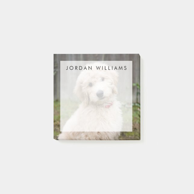 Post-it® Le Chiot De Goldendoodle S'Assis Dans L'Herbe (Devant)