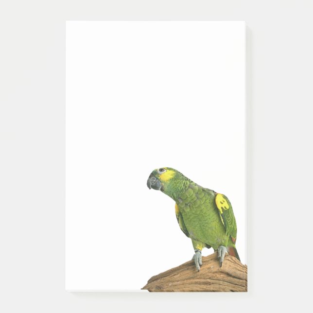 Post-it® Le Courrier-it® d'Amazone note 4 x 6 (Devant)