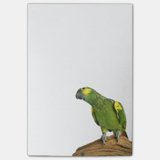 Post-it® Le Courrier-it® d'Amazone note 4 x 6