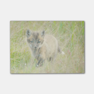 Post-it® Le Courrier-it® de kit de Fox note 4 x 3