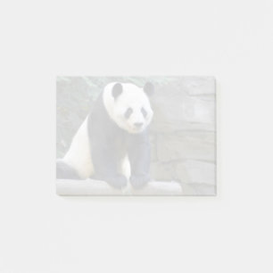 Post-it® Le géant Panda Yang Yang au zoo d'Atlanta