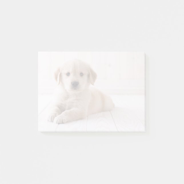 Post-it® Le Retrieur d'or qui ment (Devant)