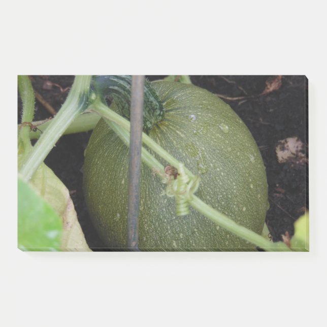 Post-it® Le squash du jardinier (Devant)