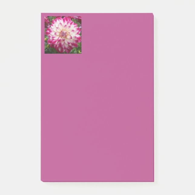 Post-it® Les Beaux (Devant)