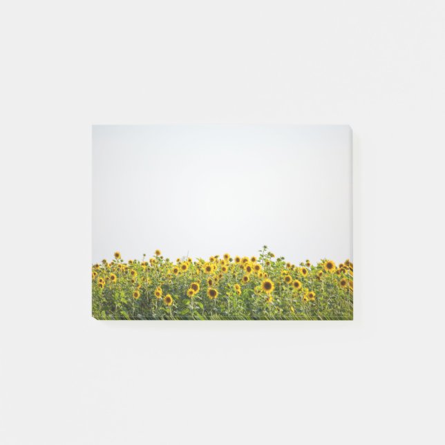 Post-it® Les tournesols dans un champ (Devant)