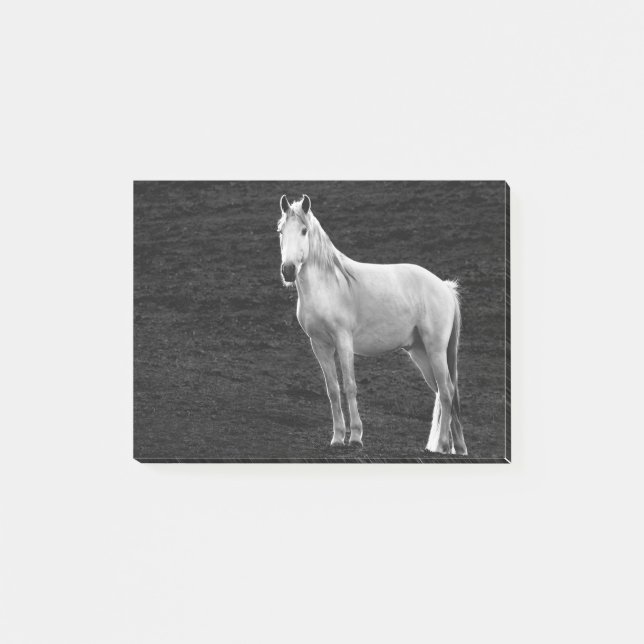 Post-it® LIN10BW le Stance.tif (Devant)