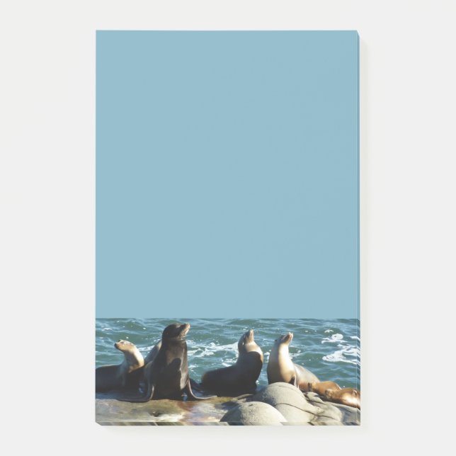 Post-it® Lions de la mer de San Diego (Devant)