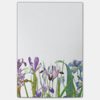 L'iris botanique fleurit le jardin floral Redoute