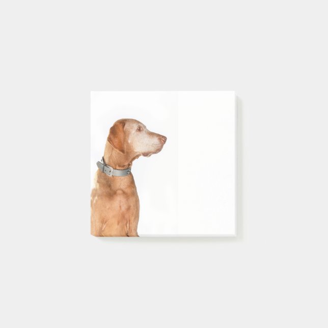 Post-it® Look at this ! (Devant)
