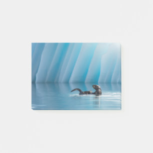 Post-it® Loutre de mer espiègle