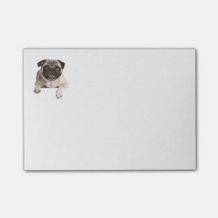 Post-it® Love Carlin Puppy Dog Post IT Sticky Notes