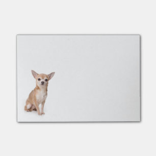 Post-it® Love Chihuahua Puppy Dog Post IT Sticky Notes