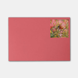 Post-it® Madame Bug Notes
