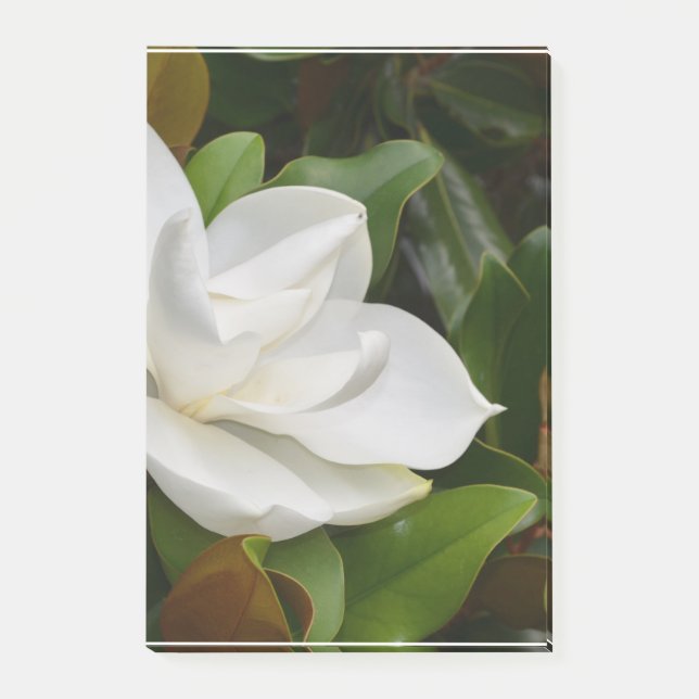 Post-it® Magnolia blanche (Devant)