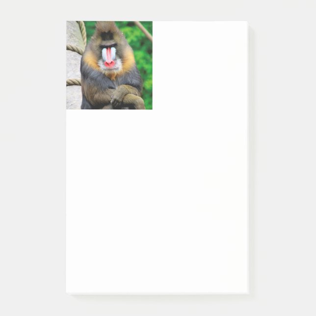 Post-it® Mandrill 001 (Devant)