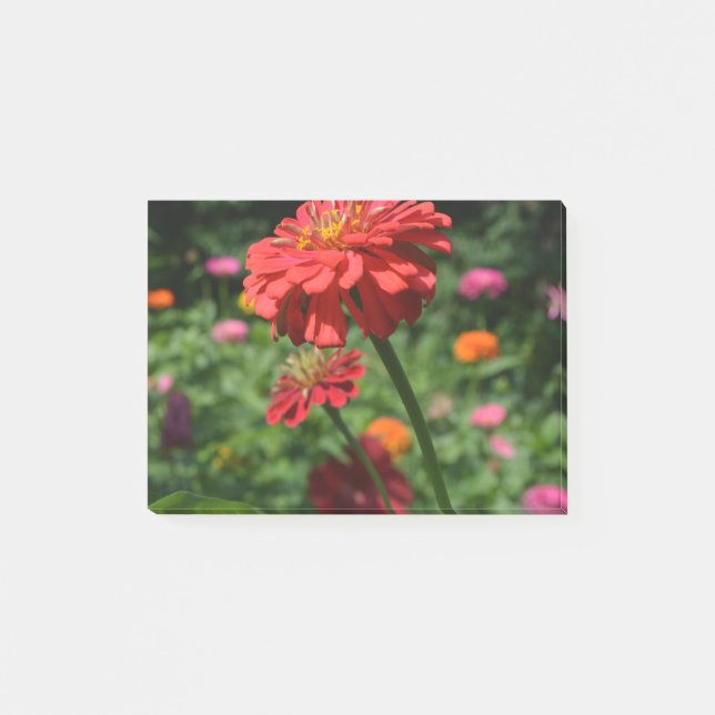 Post-it® marguerite rouge orangé fleuri, jardin de fleurs r (Devant)