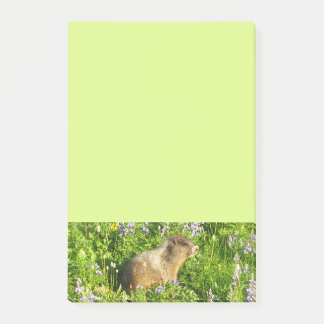 Post-it® Marmot dans le Mont Rainier Fleurs sauvages (Devant)