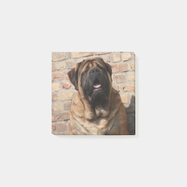 Post-it® Mastiff anglais (Devant)