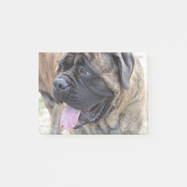 Post-it® Mastiff Brindle (Devant)