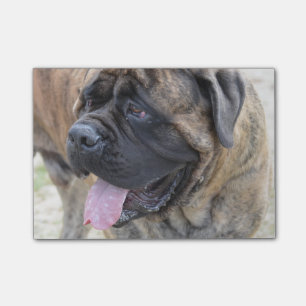 Post-it® Mastiff Brindle
