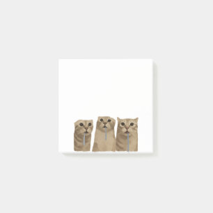 Post-it® Mème des chats idiots qui bavent triple