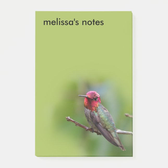 Post-it® Merveilleux colibri d'Anna sur un arbre fruitier (Devant)