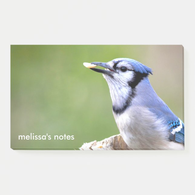 Post-it® Mignonne Bleu Jay Songbird avec cacahuète (Devant)